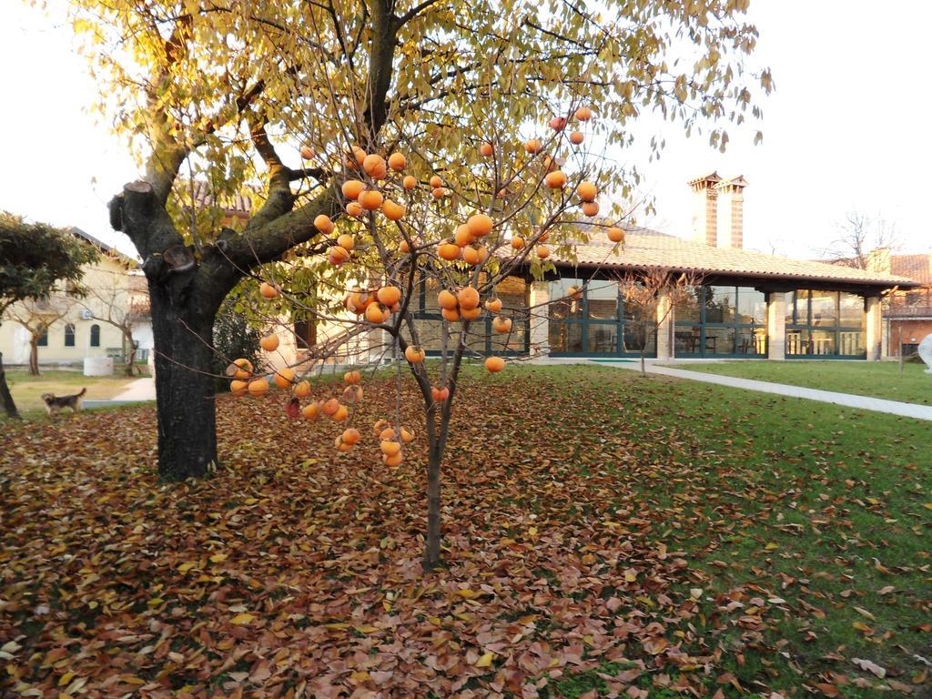Residence Armonia Roncade Εξωτερικό φωτογραφία